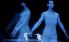 � Sally Cohn Photography 2009