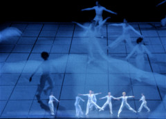 � Sally Cohn Photography 2009