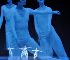 � Sally Cohn Photography 2009